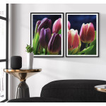 Beautiful tulips - Two piece poster