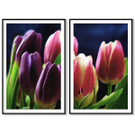 Beautiful tulips - Two piece poster
