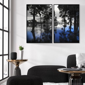 Mystical nature & forest - Two piece poster
