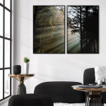 Poster with beautiful forest and sun beams