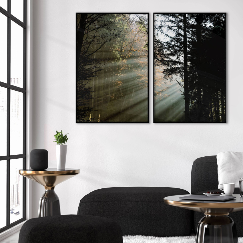 Poster with beautiful forest and sun beams