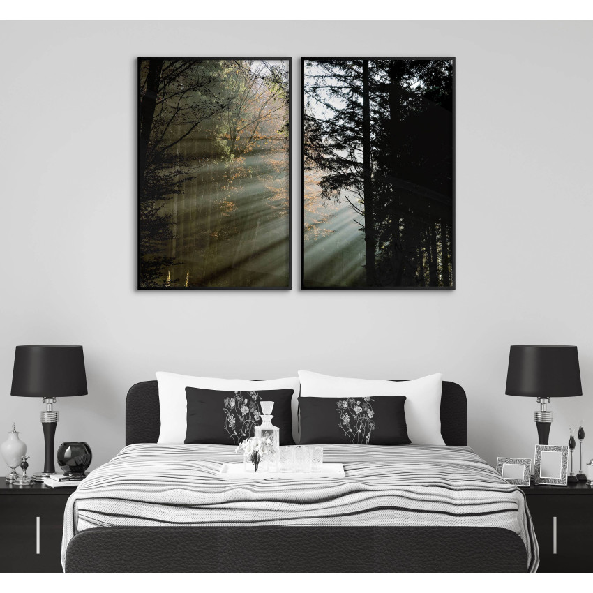 Poster with beautiful forest and sun beams