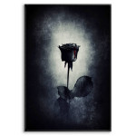 Black & White Grunge Rose