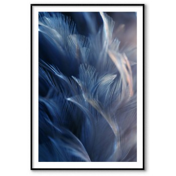 Abstract poster with photograph of feathers