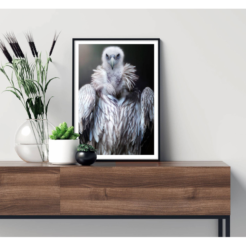 Vulture - Black and white poster