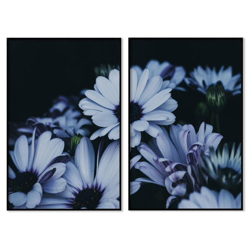 Blue flowers - Beautiful posters