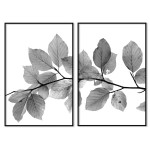 Leaves with white background - Simple poster
