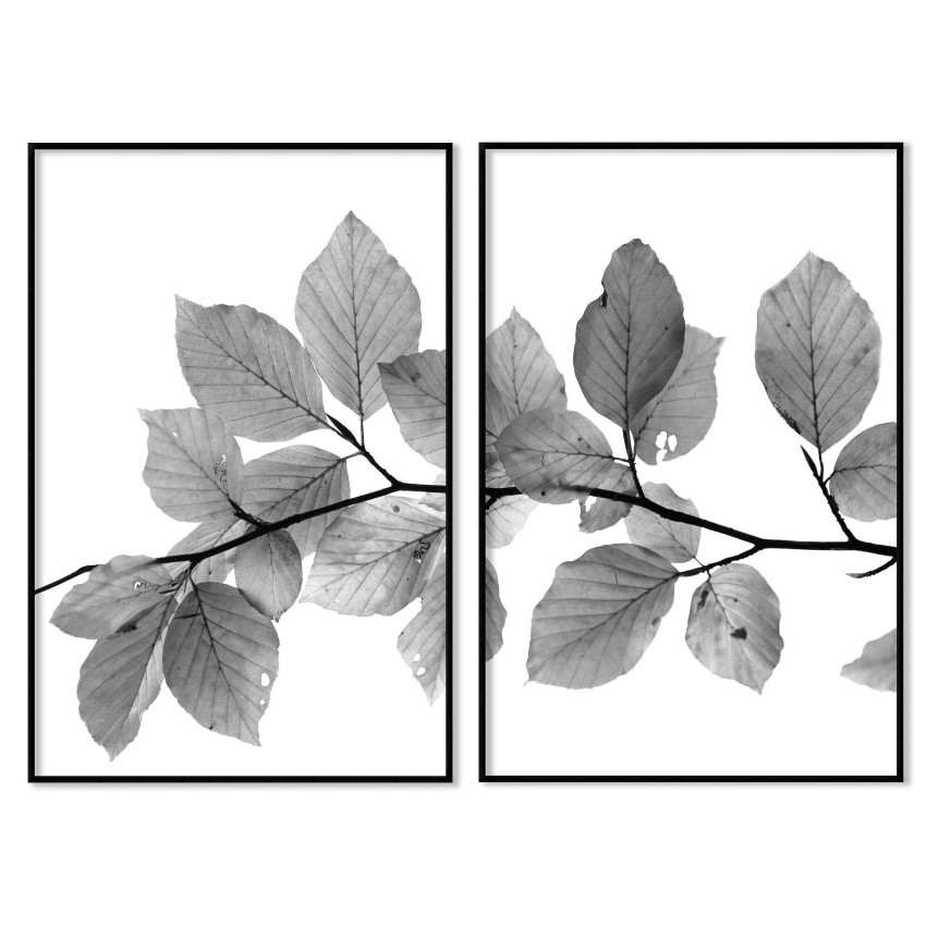 Leaves with white background - Simple poster