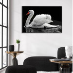 Swan in the dark - Simple Poster