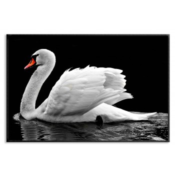 Swan in the dark - Simple Poster