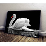 Swan in the dark - Simple Poster