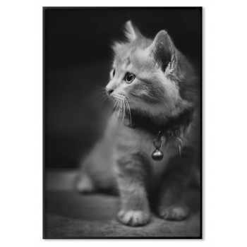 Cute Kitten - Simple poster