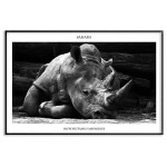 Rhino - Simple animal poster