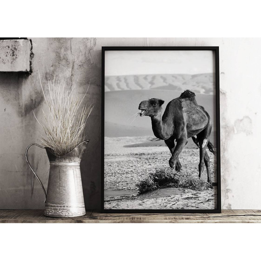 Camel in Egypt - Simple poster