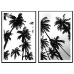 Palm trees silhuettes - Poster in two pieces