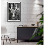 Antelope portrait - Black and white poster