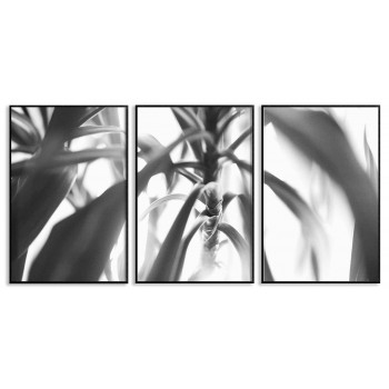 Abstract poster set - Palm tree