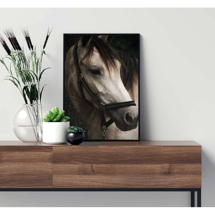 Horse portrait - Animal poster