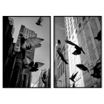 City and birds - Black and white poster