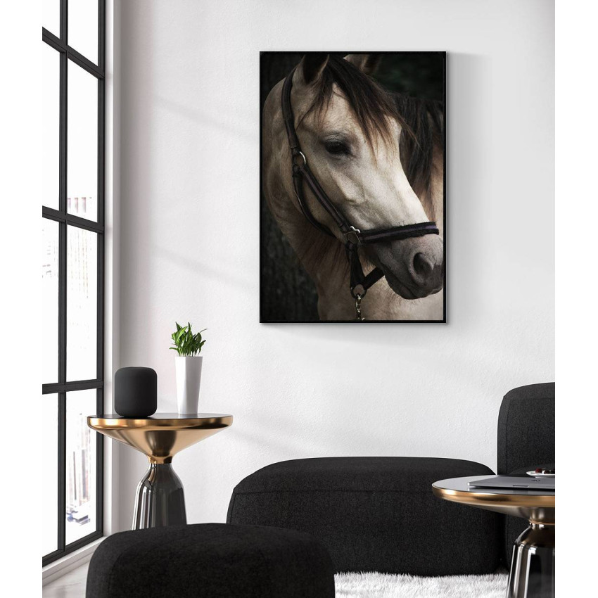 Horse portrait - Animal poster