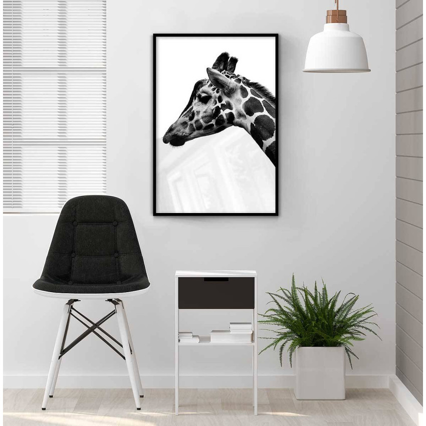 Giraffe portrait - Black and white poster