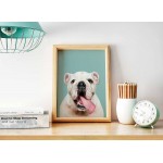 Bulldog valp - Porträtt affisch