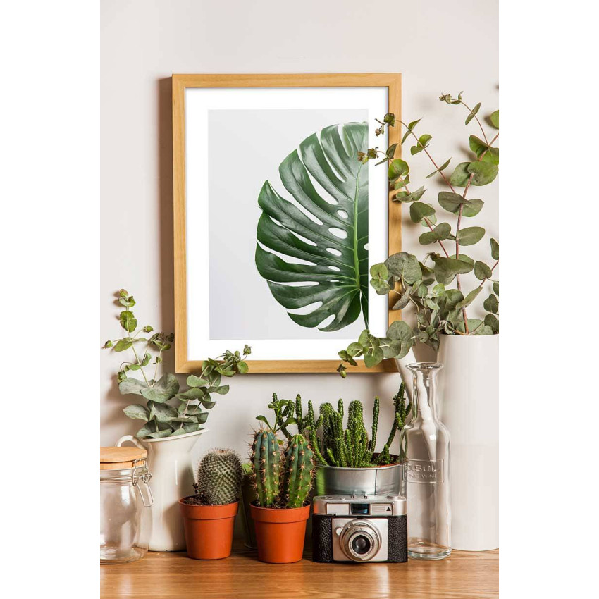 Monstera leaf - Green poster