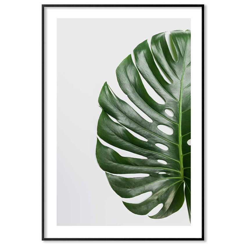 Monstera leaf - Green poster