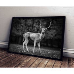 Deer portrait - Animal poster