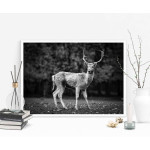 Deer portrait - Animal poster
