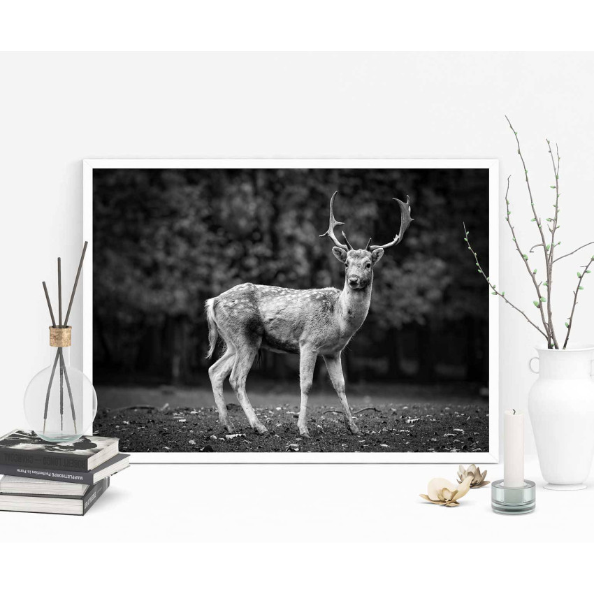 Deer portrait - Animal poster
