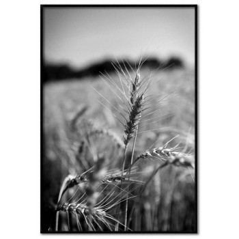 Wheat - Simple poster