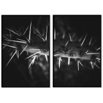 Macro cactus - Svartvit uppdelad tavla