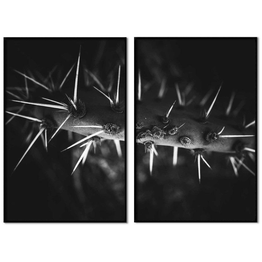 Macro cactus - Svartvit uppdelad tavla