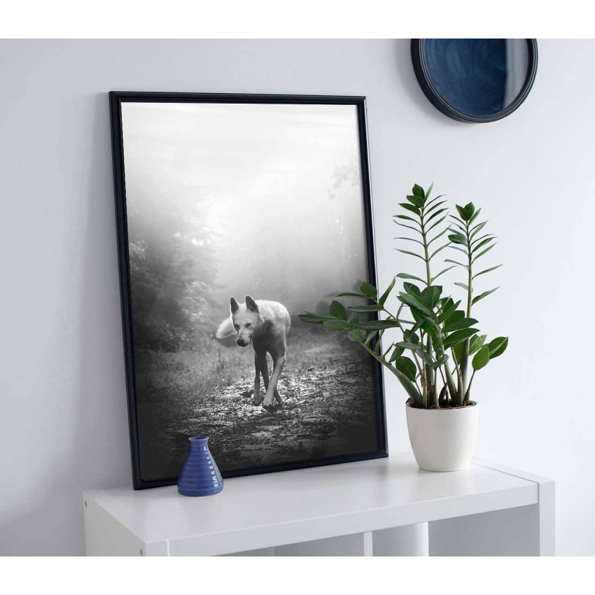 White wolf - Trendy poster
