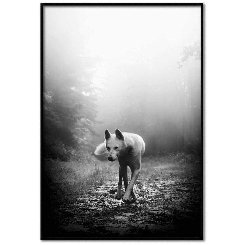 White wolf - Trendy poster