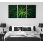Green plant - Three piece poster