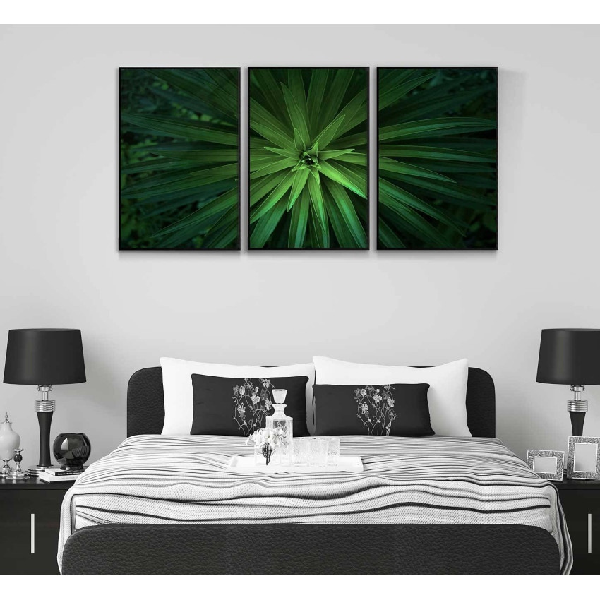 Green plant - Three piece poster