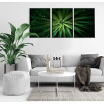 Green plant - Three piece poster