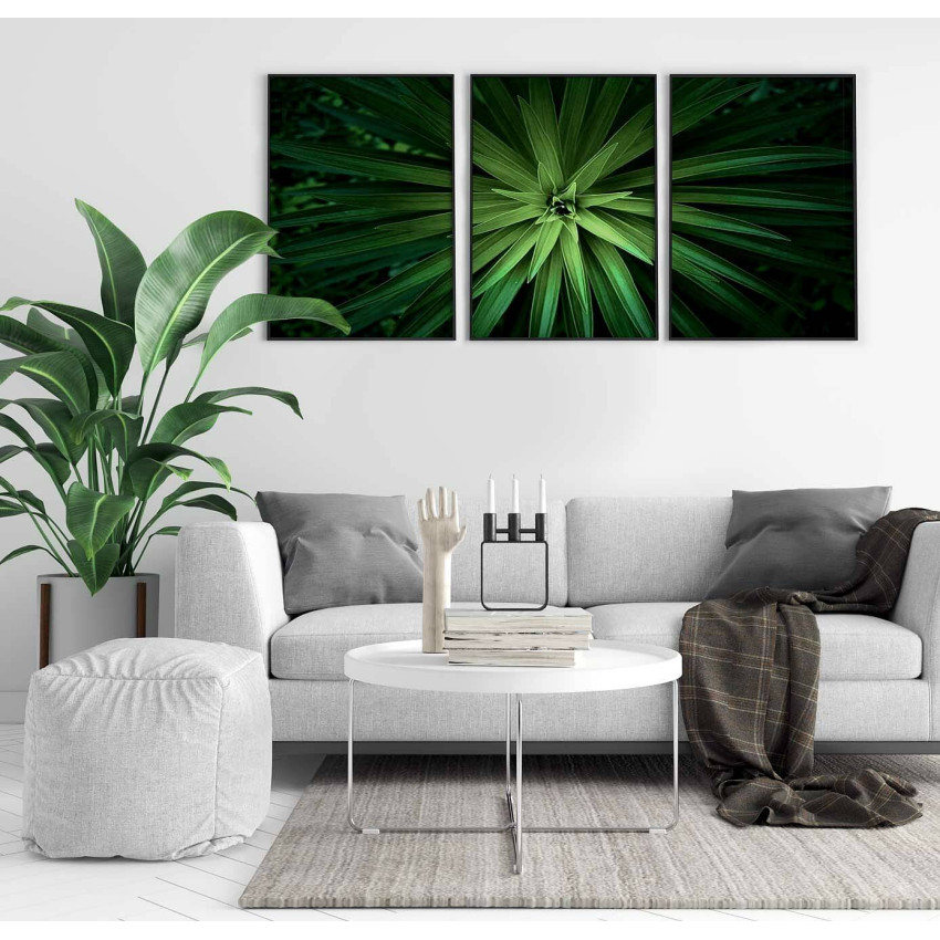 Green plant - Three piece poster