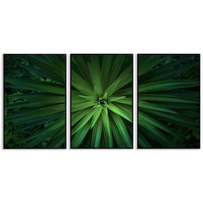 Green plant - Three piece poster