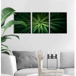 Green plant - Three piece poster