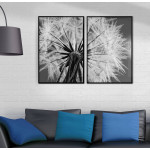 Dandelion - Poster in two pieces