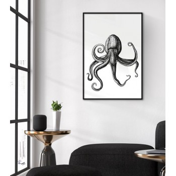 Bläckfisk Illustration - Svartvit posters Bläckfisk Illustration - Svartvit posters