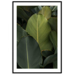 Simple botanical poster