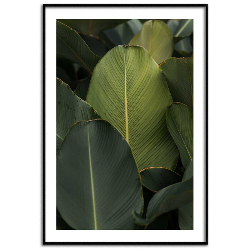 Simple botanical poster