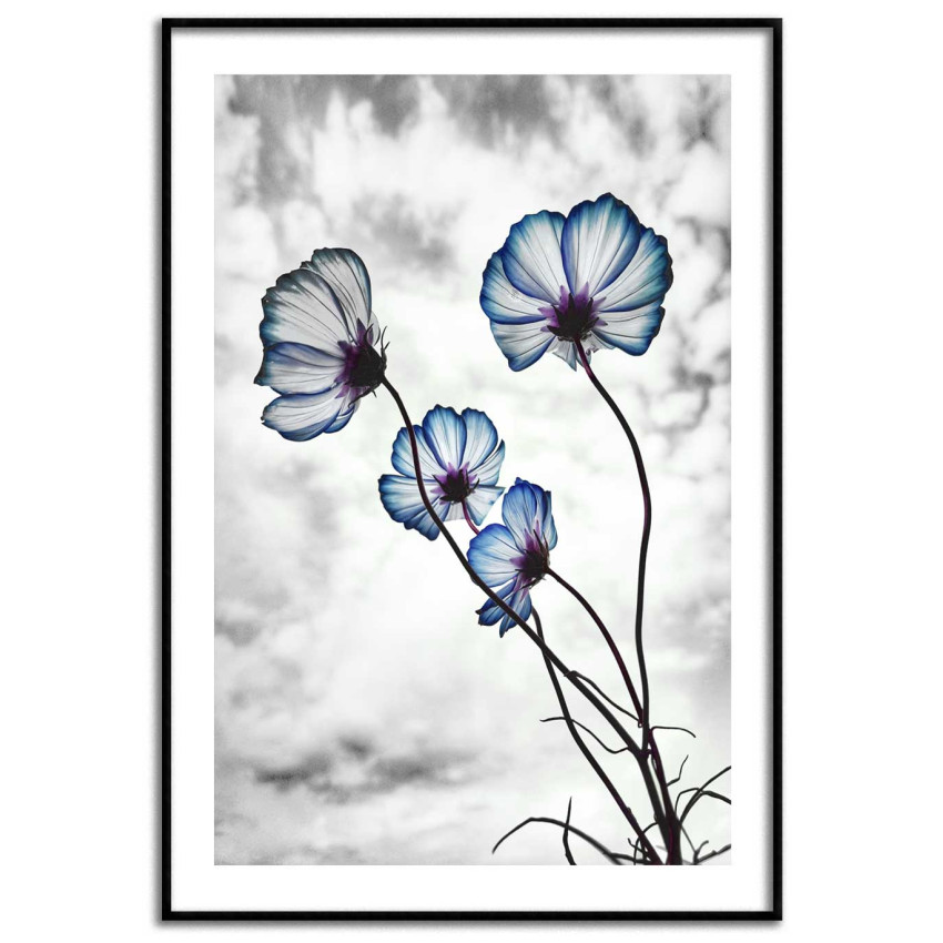 Blue flowers - Simple poster