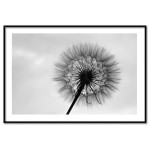 Flower - Black and White Poster