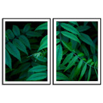 Green Leaves - Two Piece Poster