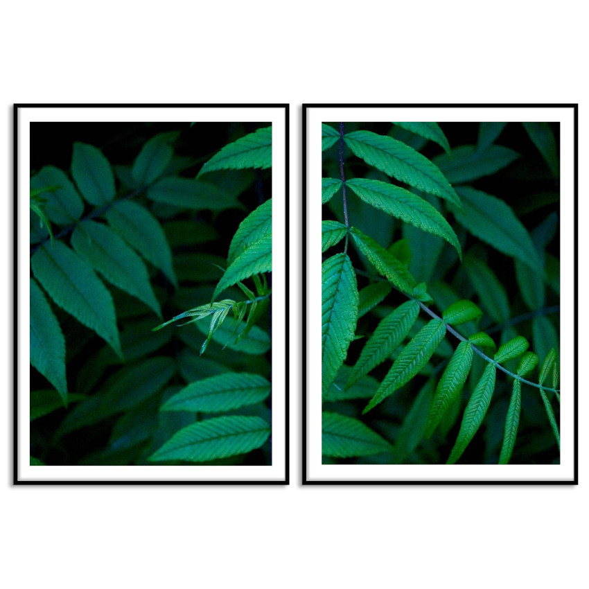 Green Leaves - Two Piece Poster